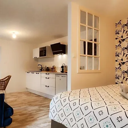 Apartamento La Douce Angevine - La Chouette - Proche Centre