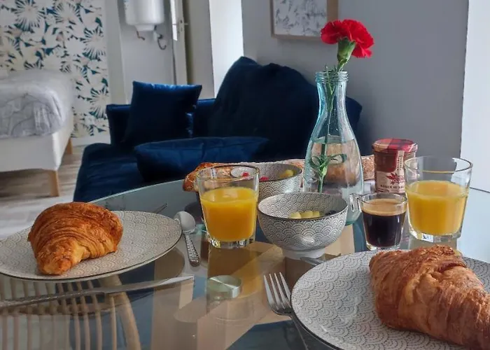 Appartement La Douce Angevine - La Chouette - Proche Centre Angers