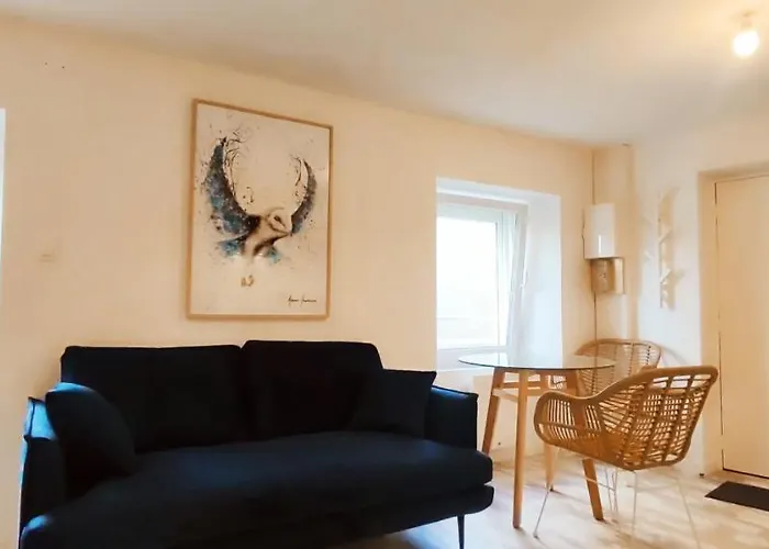 La Douce Angevine - La Chouette - Proche Centre Appartement