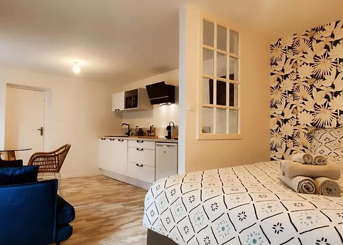 Apartamento La Douce Angevine - La Chouette - Proche Centre