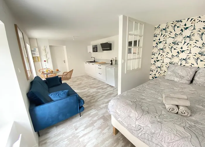 Apartamento La Douce Angevine - La Chouette - Proche Centre Angers