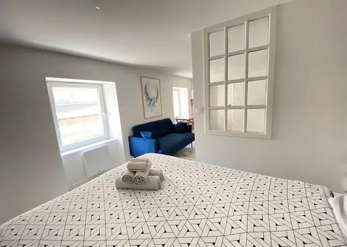 Appartement La Douce Angevine - La Chouette - Proche Centre *